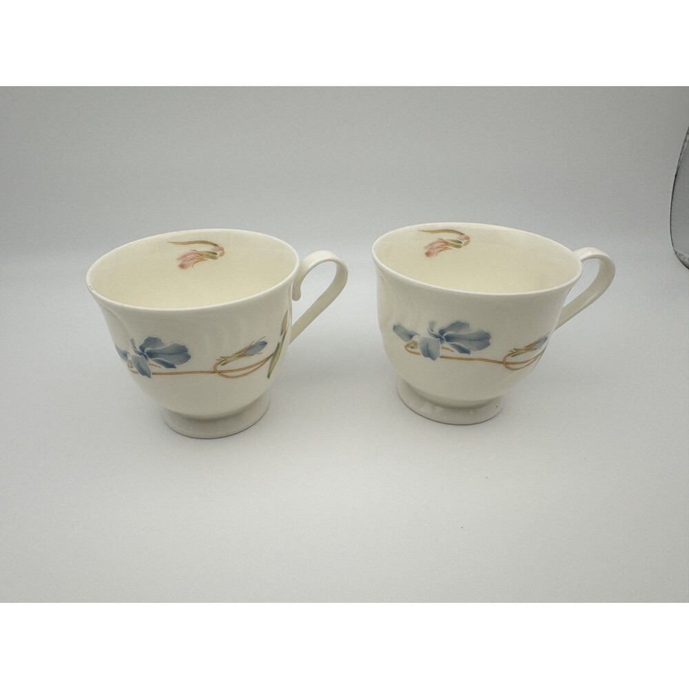 Surrey Hill Garden Fantasy Set of 2 Footed Tea Cup Blue Floral Gold Trim Japan